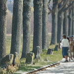 7000 Oaks — City Forestation Instead of Josephy Beuys, City Administration (German: 7000 Eichen — Stadtverwaldung statt Stadtverwaltung)(1982-1987)
