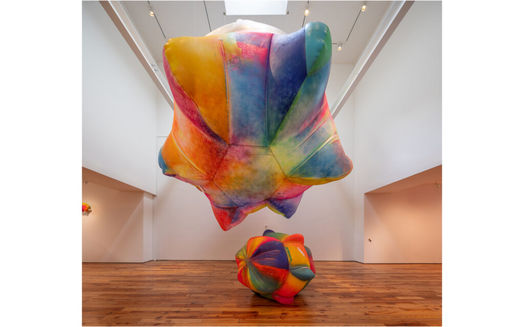 Claire Ashley: Chromatic Blush - Sarasota Art Museum